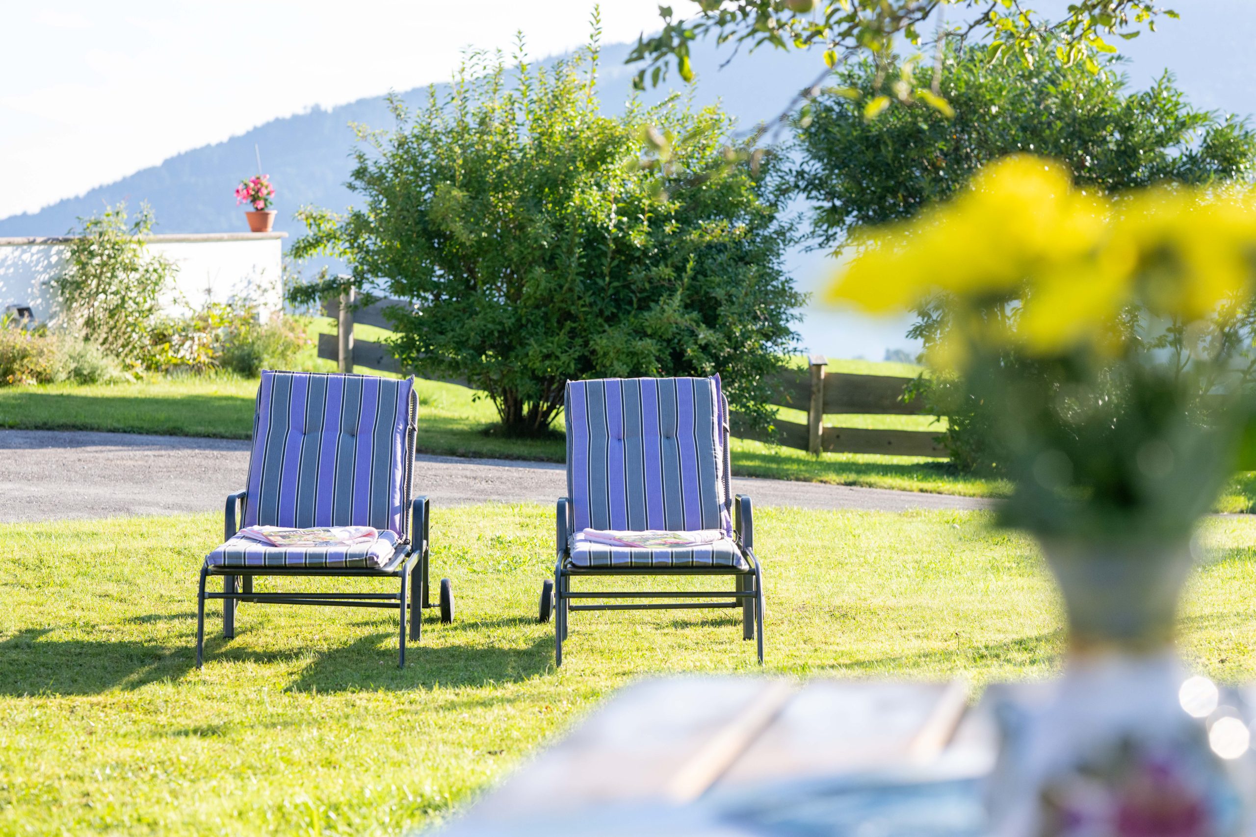 Homepage - main.photo 13