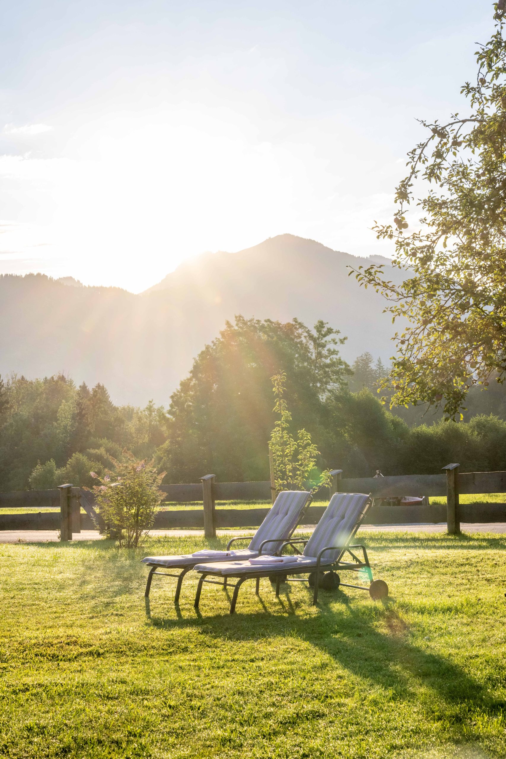 Homepage - main.photo 24